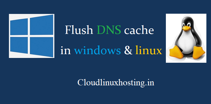 dns cache